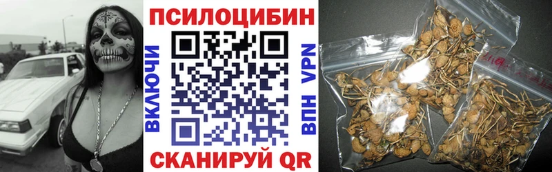 даркнет официальный сайт  Мончегорск  Псилоцибиновые грибы GOLDEN TEACHER  hydra ССЫЛКА 